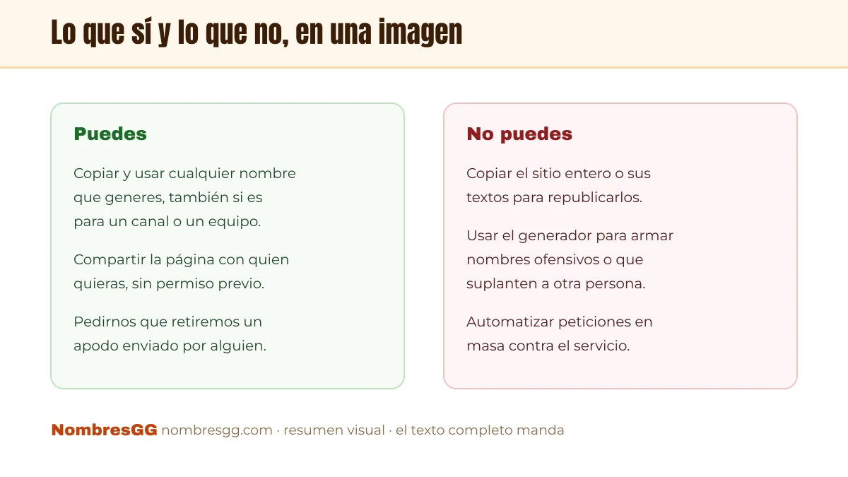 Resumen visual de las condiciones de uso de NombresGG: lo que puedes hacer y lo que no